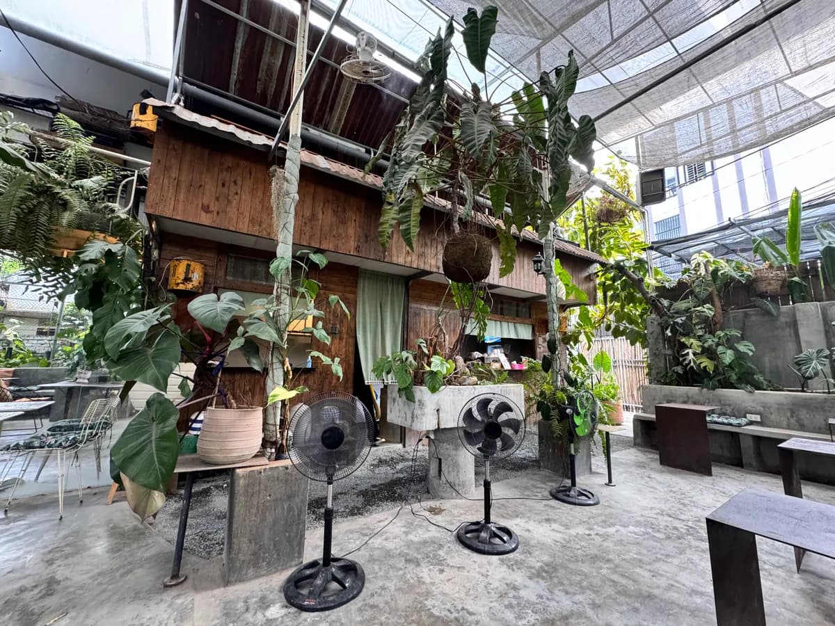 Coffee Maker Roastery