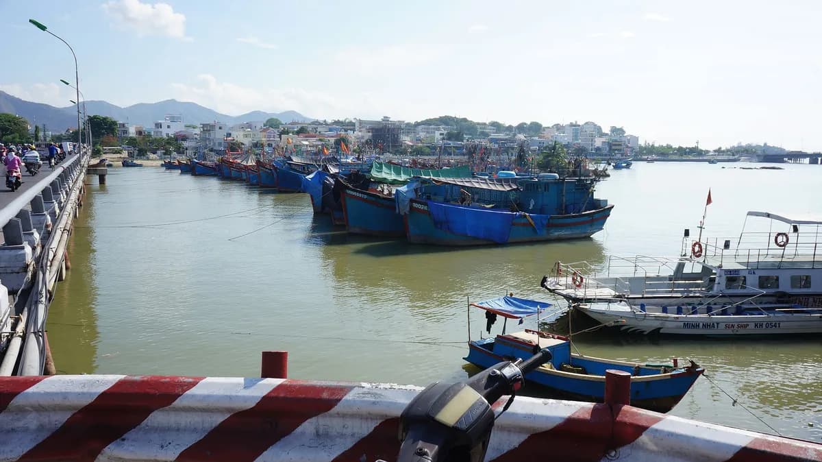 Cầu Trần Phú