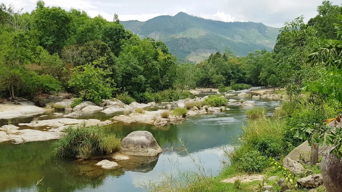 Khu Bảo tồn Thiên nhiên Hòn Bà