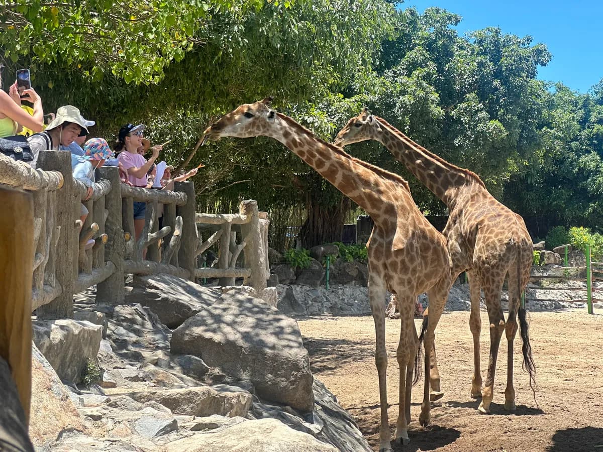 Vườn thú King's Garden VinWonders Nha Trang